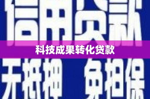 市中区科技成果转化贷款