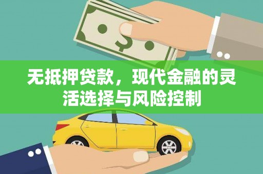 市中区无抵押贷款，现代金融的灵活选择与风险控制