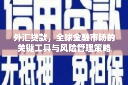 市中区外汇贷款，全球金融市场的关键工具与风险管理策略
