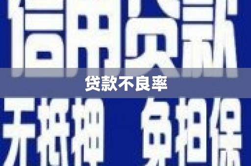 市中区贷款不良率