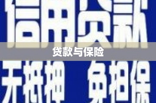 市中区贷款与保险