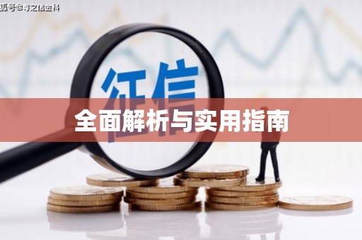 市中区全面解析与实用指南
