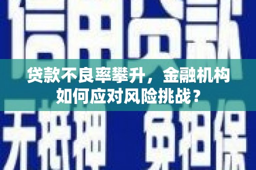 市中区贷款不良率攀升，金融机构如何应对风险挑战？