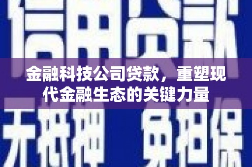 市中区金融科技公司贷款，重塑现代金融生态的关键力量