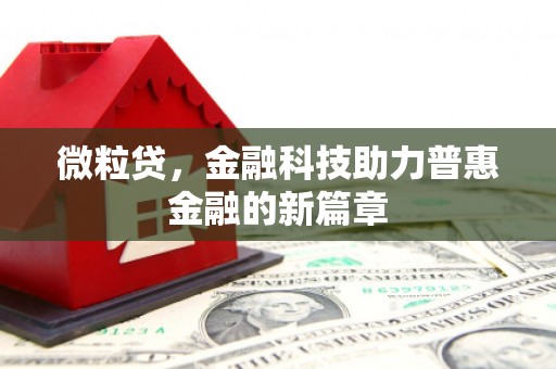 市中区微粒贷，金融科技助力普惠金融的新篇章