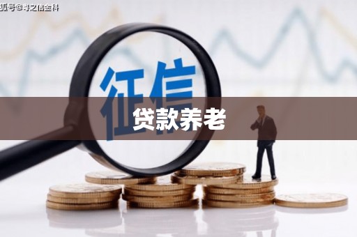 市中区贷款养老