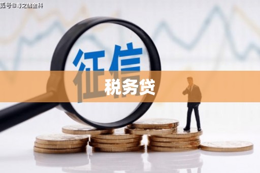 市中区税务贷