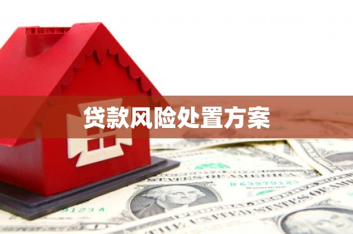 市中区贷款风险处置方案