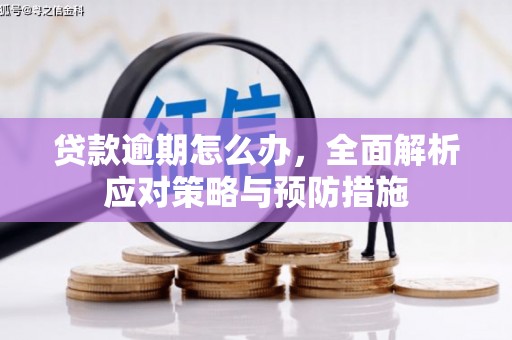 市中区贷款逾期怎么办，全面解析应对策略与预防措施