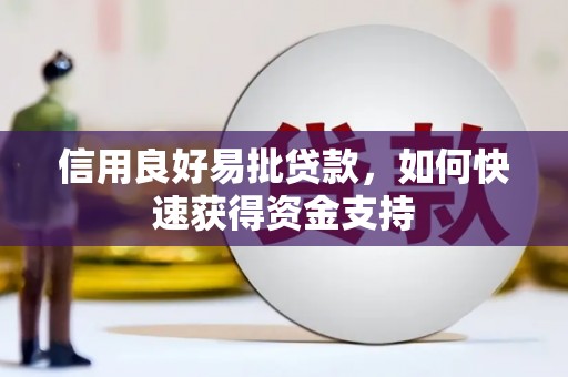 市中区信用良好易批贷款，如何快速获得资金支持