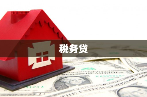 市中区税务贷