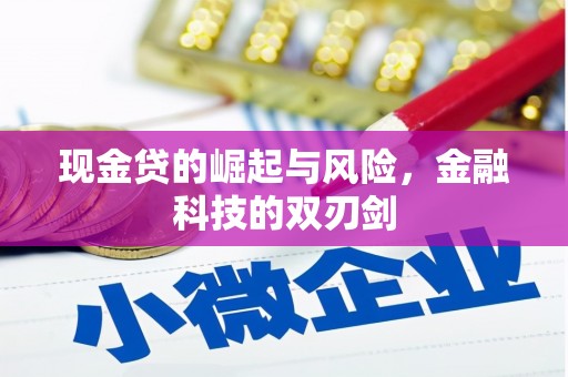 市中区现金贷的崛起与风险，金融科技的双刃剑