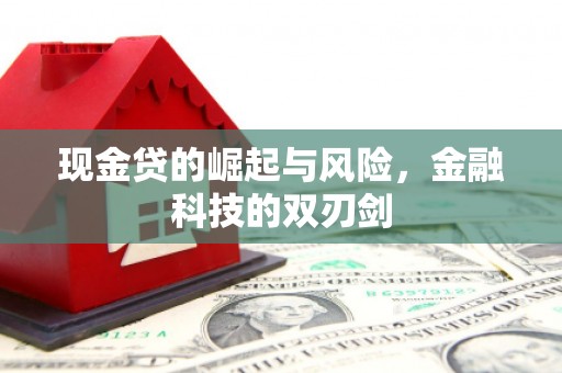 市中区现金贷的崛起与风险，金融科技的双刃剑