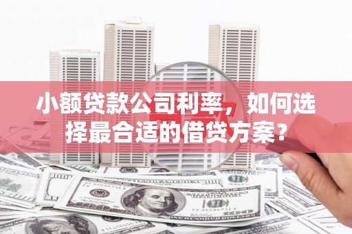 市中区小额贷款公司利率，如何选择最合适的借贷方案？