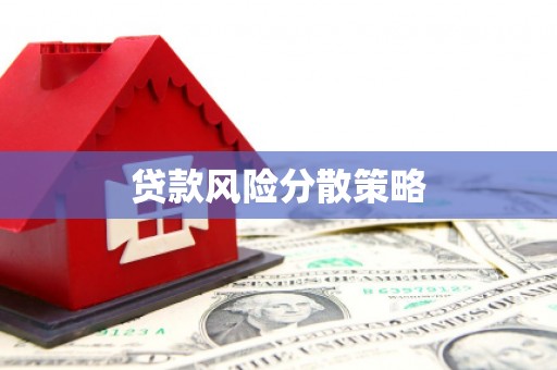 市中区贷款风险分散策略