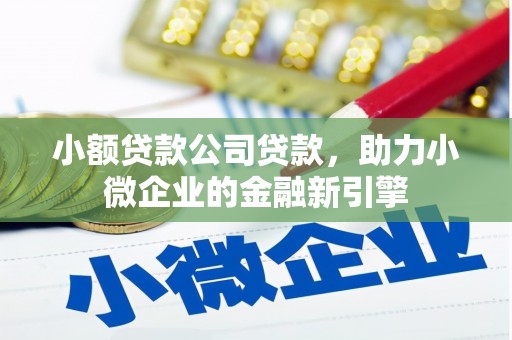市中区小额贷款公司贷款，助力小微企业的金融新引擎