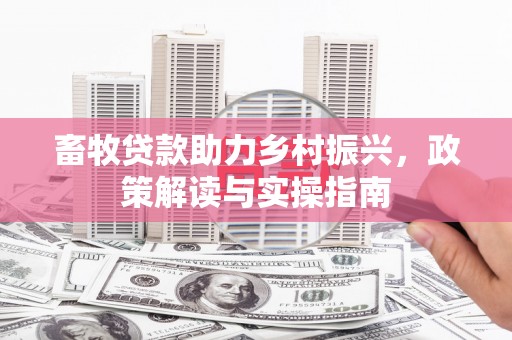 市中区畜牧贷款助力乡村振兴，政策解读与实操指南