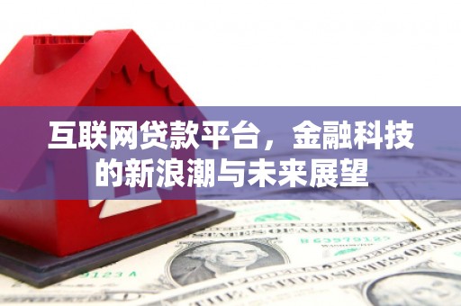 市中区互联网贷款平台，金融科技的新浪潮与未来展望