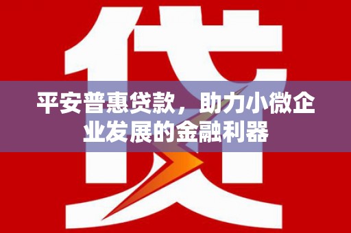 市中区平安普惠贷款，助力小微企业发展的金融利器