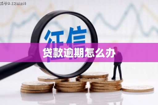 市中区贷款逾期怎么办