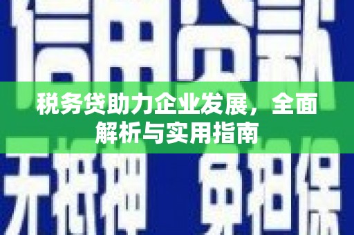 市中区税务贷助力企业发展，全面解析与实用指南