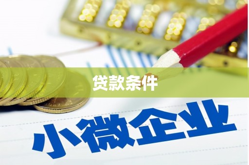 市中区贷款条件