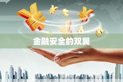 市中区金融安全的双翼