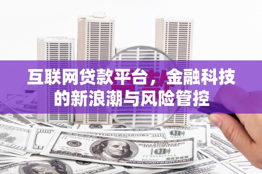 市中区互联网贷款平台，金融科技的新浪潮与风险管控