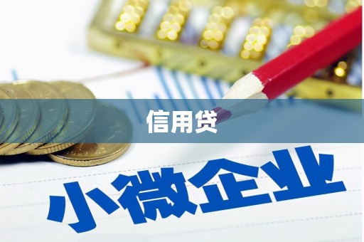 市中区信用贷