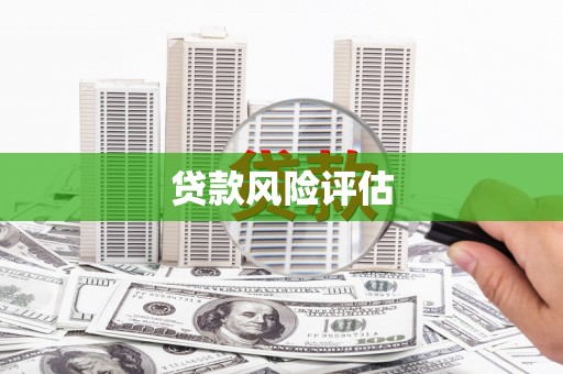 市中区贷款风险评估