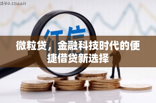 市中区微粒贷，金融科技时代的便捷借贷新选择