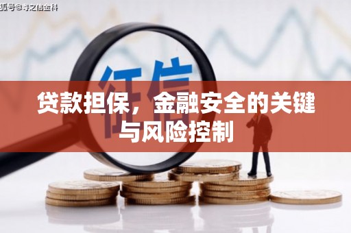 市中区贷款担保，金融安全的关键与风险控制