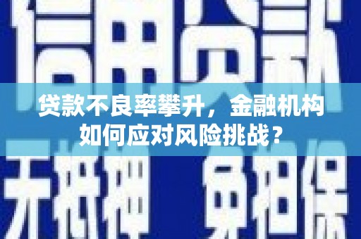 市中区贷款不良率攀升，金融机构如何应对风险挑战？