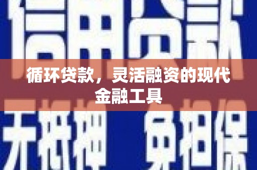 市中区循环贷款，灵活融资的现代金融工具