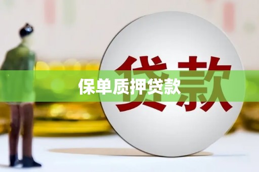 市中区保单质押贷款