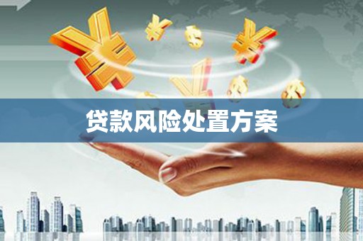 市中区贷款风险处置方案