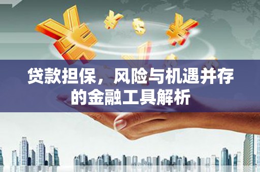 市中区贷款担保，风险与机遇并存的金融工具解析