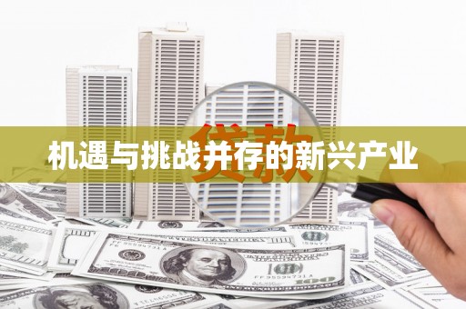 市中区机遇与挑战并存的新兴产业