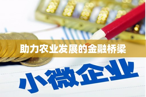 市中区助力农业发展的金融桥梁