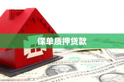 市中区保单质押贷款