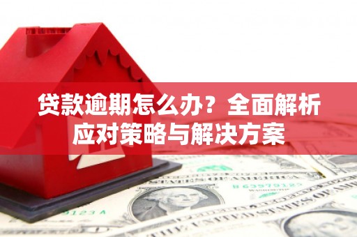 市中区贷款逾期怎么办？全面解析应对策略与解决方案