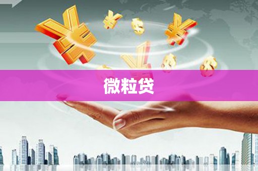 市中区微粒贷