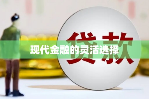 市中区现代金融的灵活选择