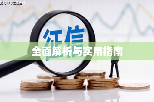 市中区全面解析与实用指南