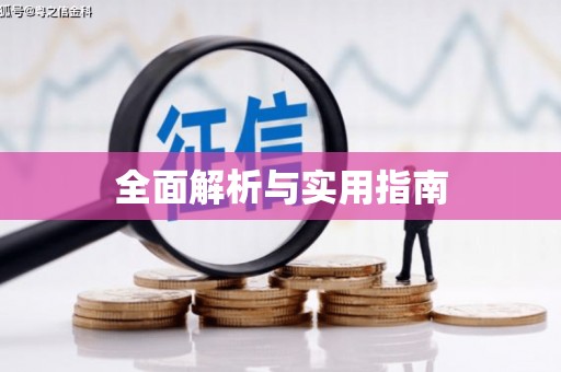 市中区全面解析与实用指南