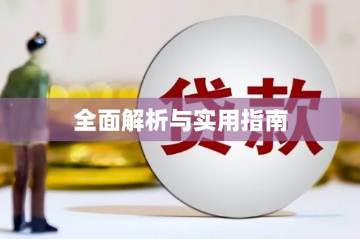 市中区全面解析与实用指南