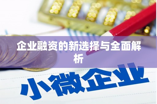 市中区企业融资的新选择与全面解析