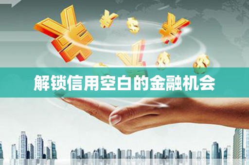 市中区解锁信用空白的金融机会