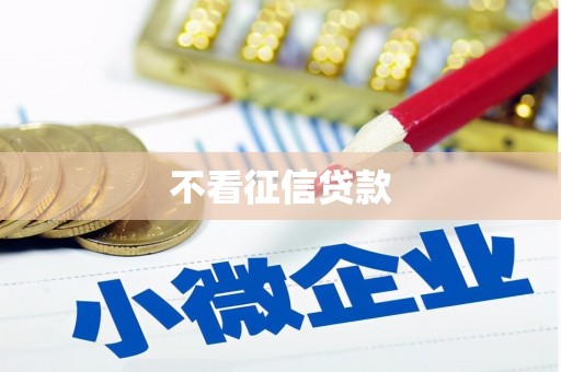 市中区不看征信贷款