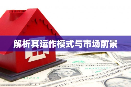 市中区解析其运作模式与市场前景